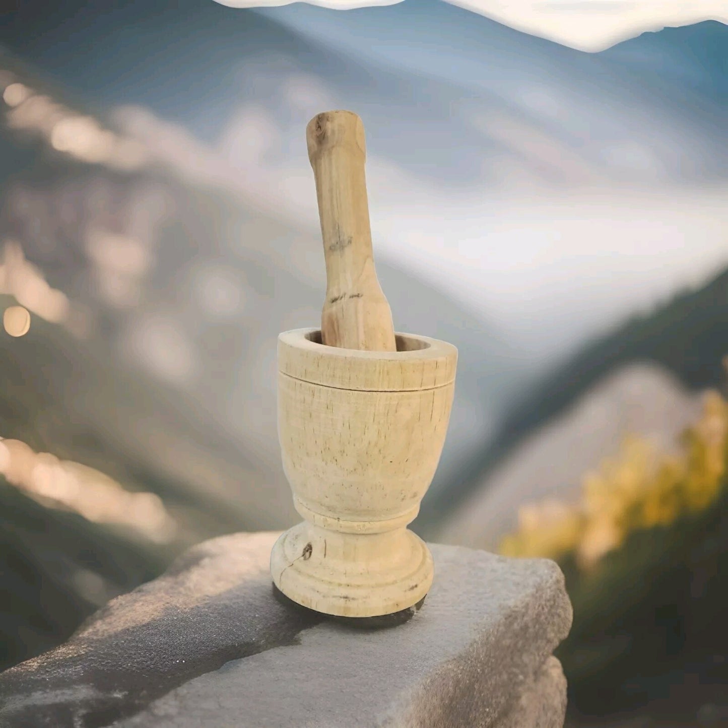 Imusa mortar and pestle 5 Inch