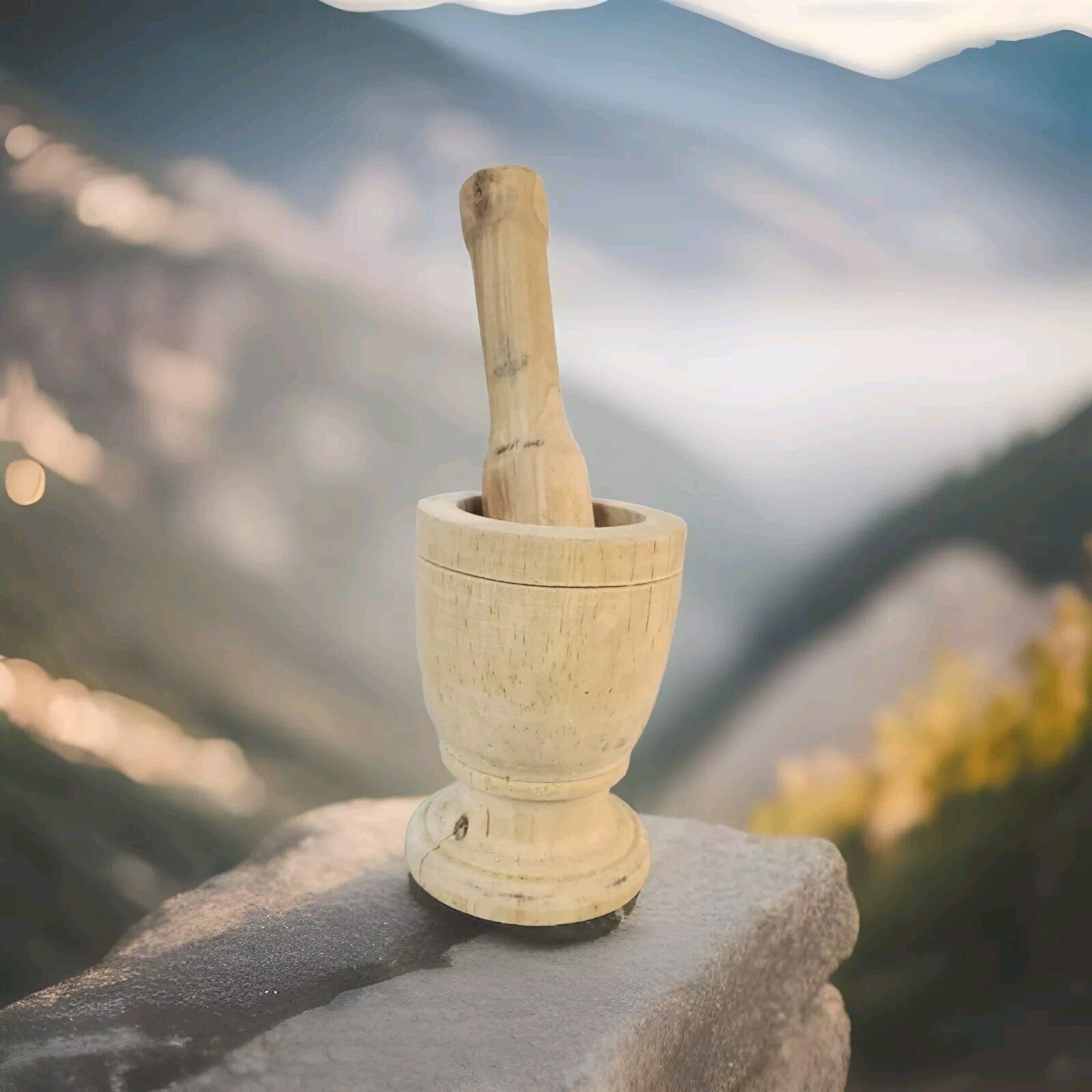 Imusa mortar and pestle 5 Inch