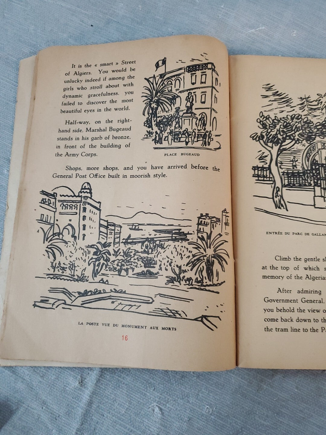 Charles Brouty / Victory Across French North Africa 1943 Military & War